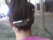 ponytailwithbarrette.jpg